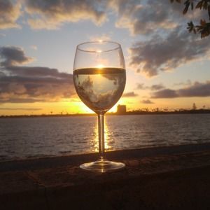 Meet your Posher, Terry